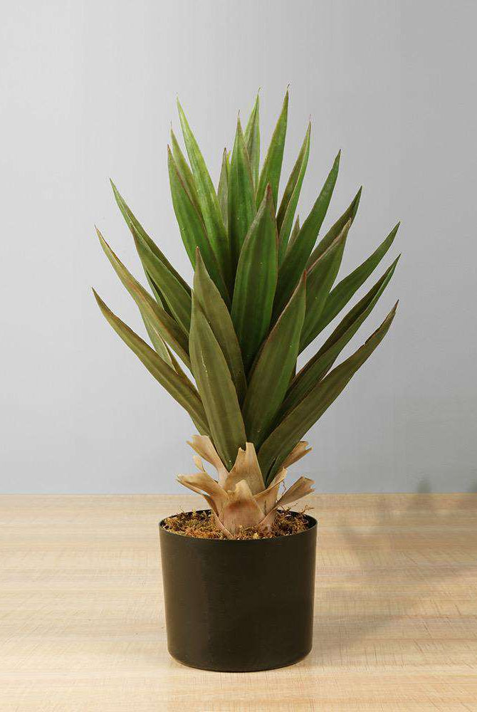 ALOA Artificial Aloe Tree Potted Plant 20'' ArtiPlanto