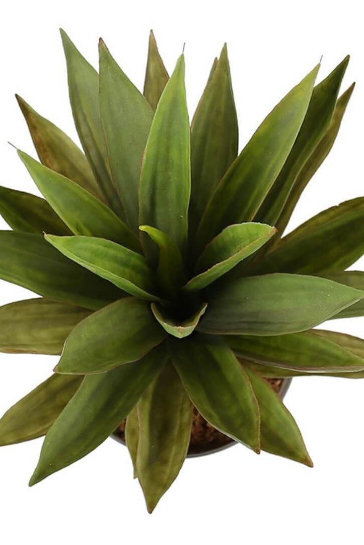 ALOA Artificial Aloe Tree Potted Plant 20'' ArtiPlanto