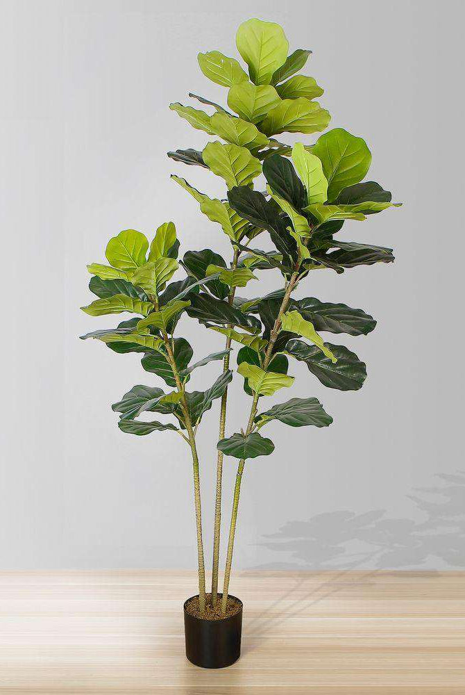 ALVA Artificial Fiddle Leaf Potted Plant (Multiple Sizes) ArtiPlanto