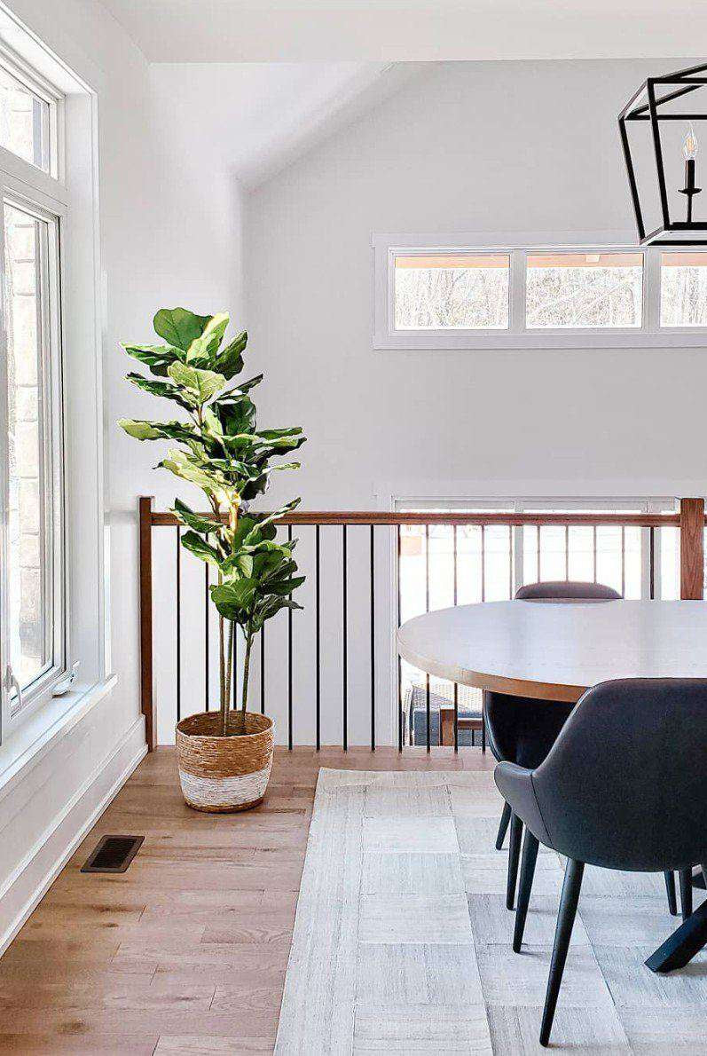ALVA Artificial Fiddle Leaf Potted Plant (Multiple Sizes) ArtiPlanto