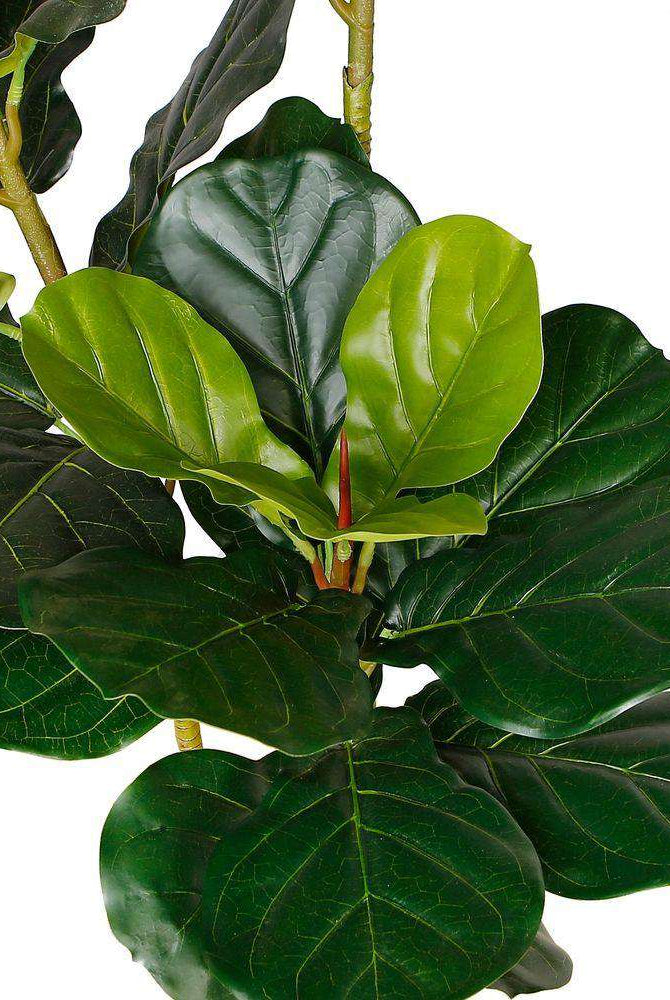 ALVA Artificial Fiddle Leaf Potted Plant (Multiple Sizes) ArtiPlanto