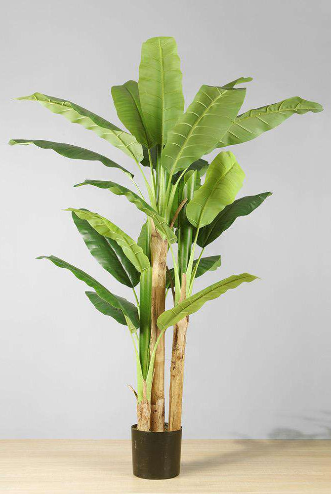 ANNA Artificial Banana Tree Potted Plant (Multiple Sizes) ArtiPlanto