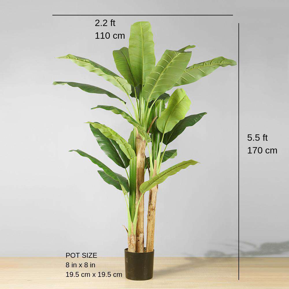 ANNA Artificial Banana Tree Potted Plant (Multiple Sizes) ArtiPlanto