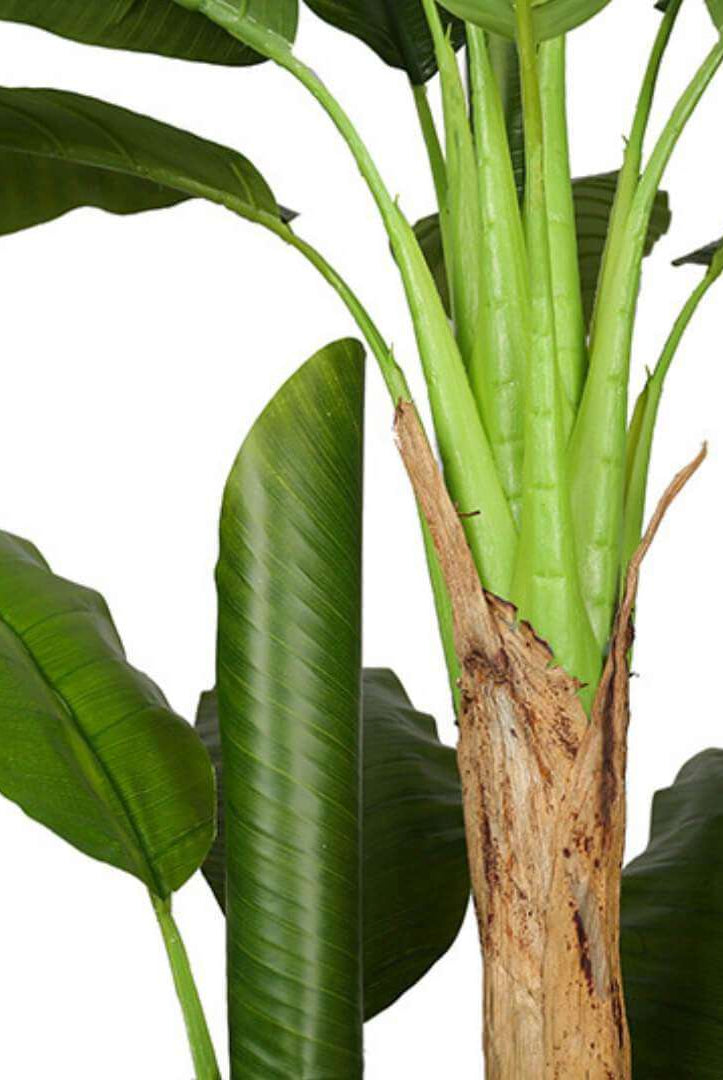 ANNA Artificial Banana Tree Potted Plant (Multiple Sizes) ArtiPlanto
