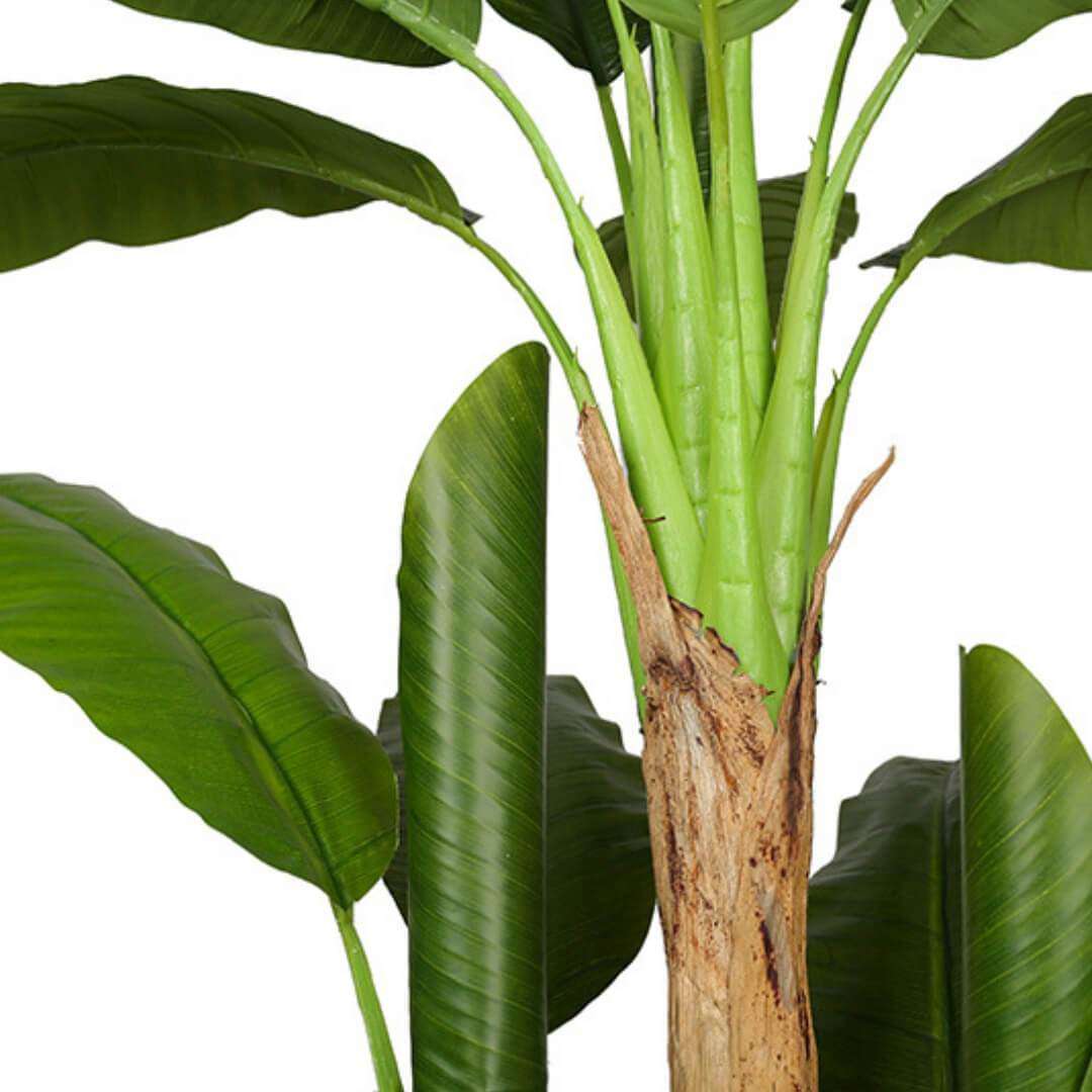 ANNA Artificial Banana Tree Potted Plant (Multiple Sizes) ArtiPlanto