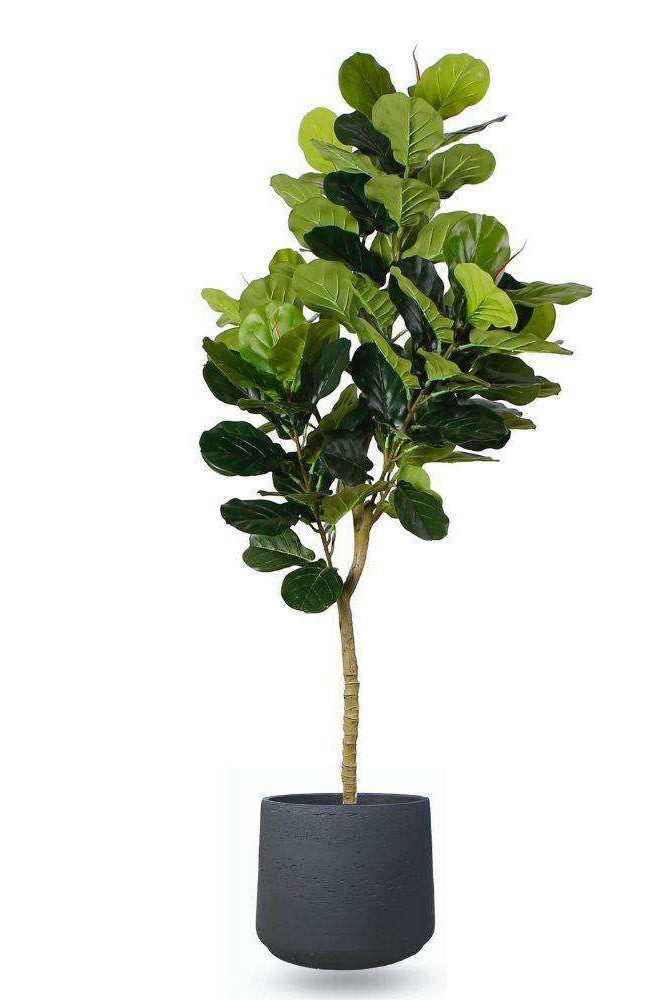 ANTO BLACK CEMENT PLANTER 13'' ArtiPlanto