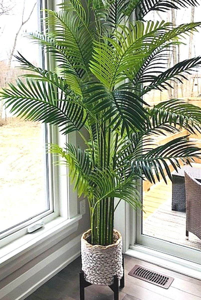 ARLO ARTIFICIAL HAWAII KWAI PALM TREE POTTED PLANT (Multiple Sizes) ArtiPlanto
