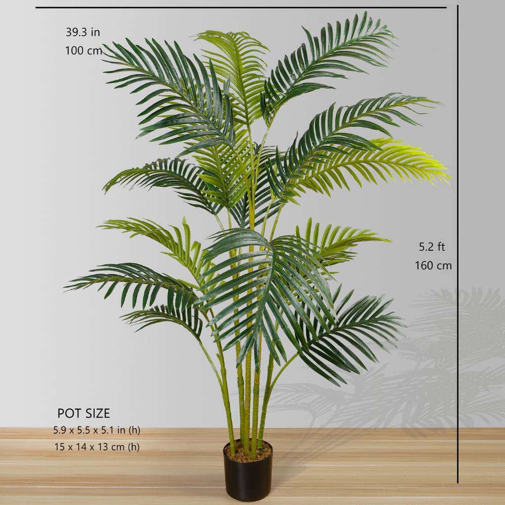 ARLO ARTIFICIAL HAWAII KWAI PALM TREE POTTED PLANT (Multiple Sizes) ArtiPlanto