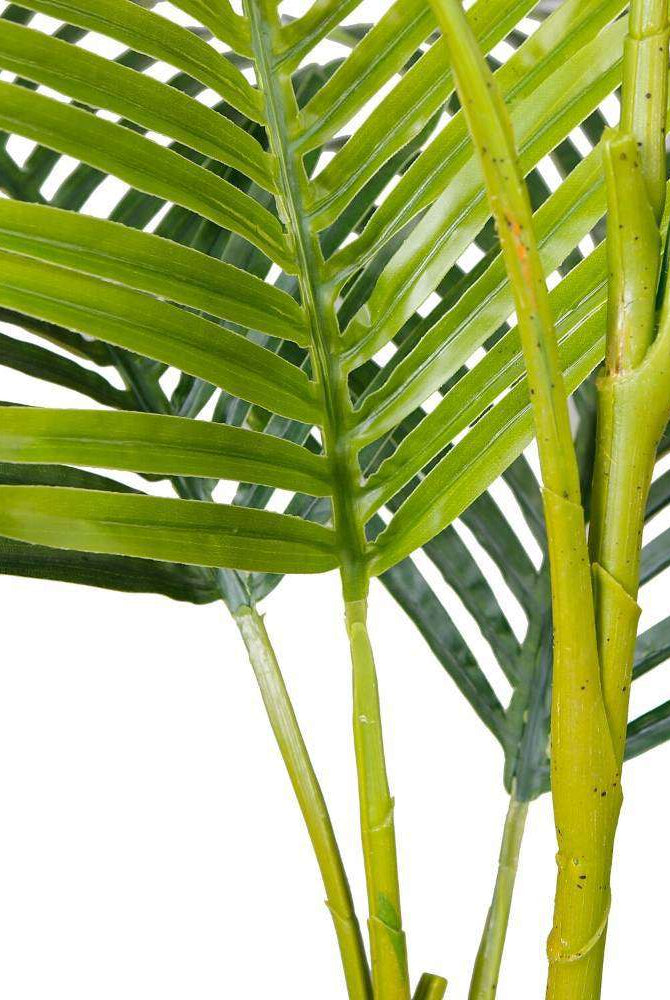 ARLO ARTIFICIAL HAWAII KWAI PALM TREE POTTED PLANT (Multiple Sizes) ArtiPlanto