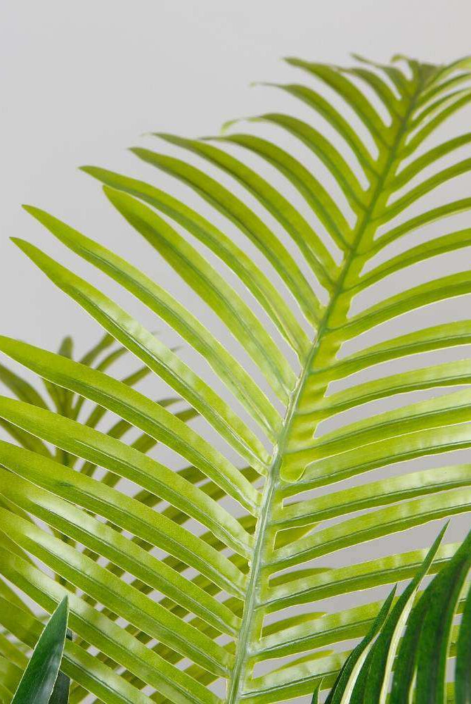 ARLO ARTIFICIAL HAWAII KWAI PALM TREE POTTED PLANT (Multiple Sizes) ArtiPlanto