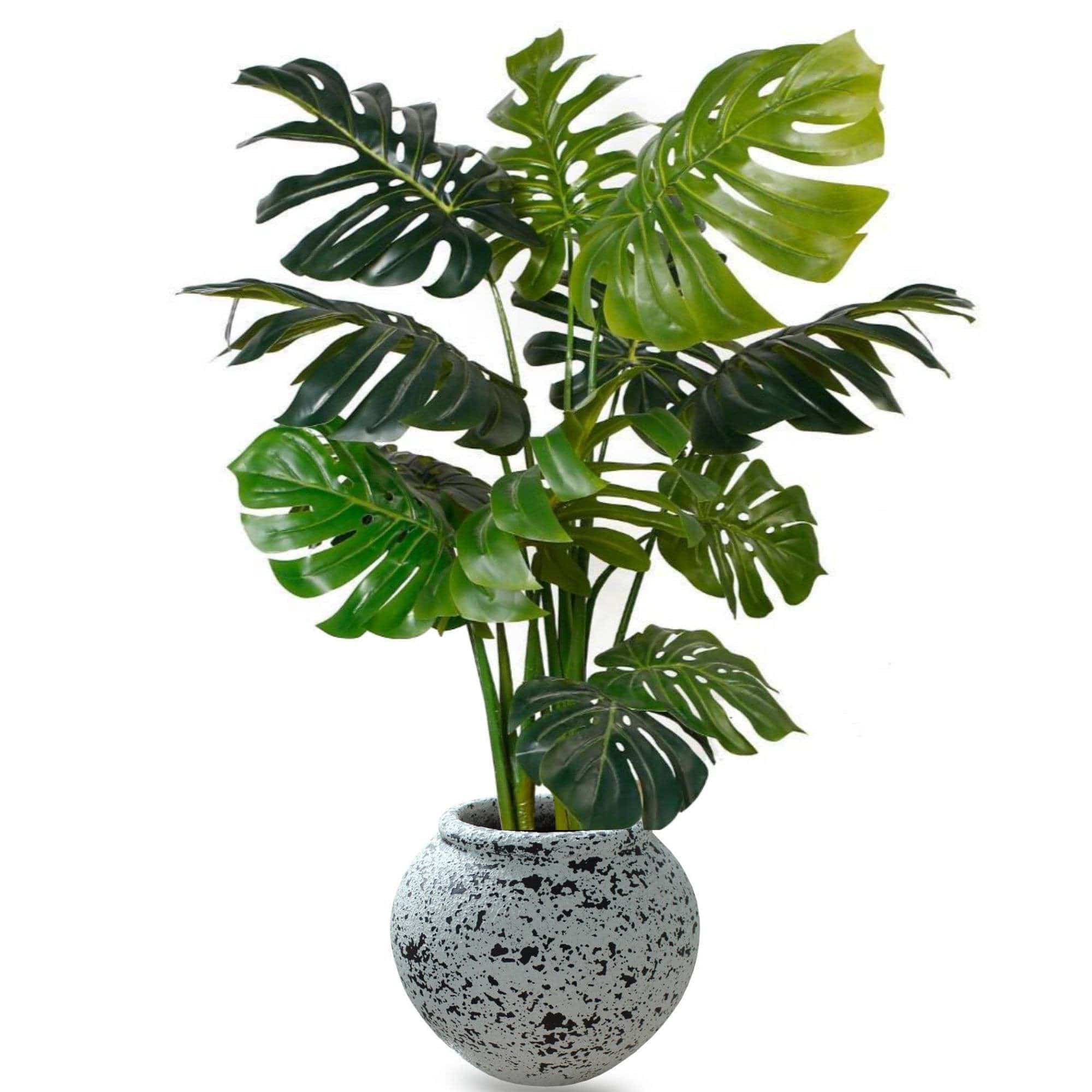 Athens Cement Planter 14'' ArtiPlanto