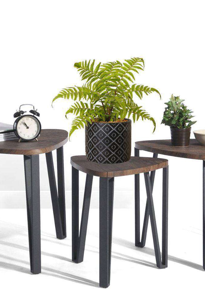 BALI POTTED FAUX FERN ArtiPlanto