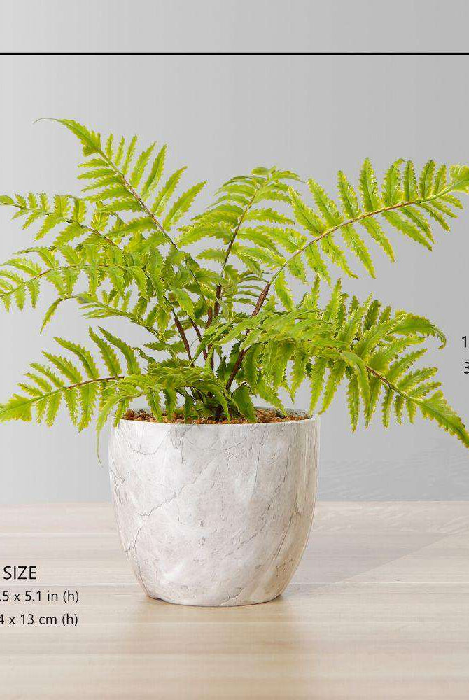 BERA POTTED FAUX FERN ArtiPlanto