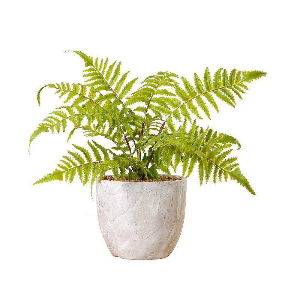 BERA POTTED FAUX FERN ArtiPlanto