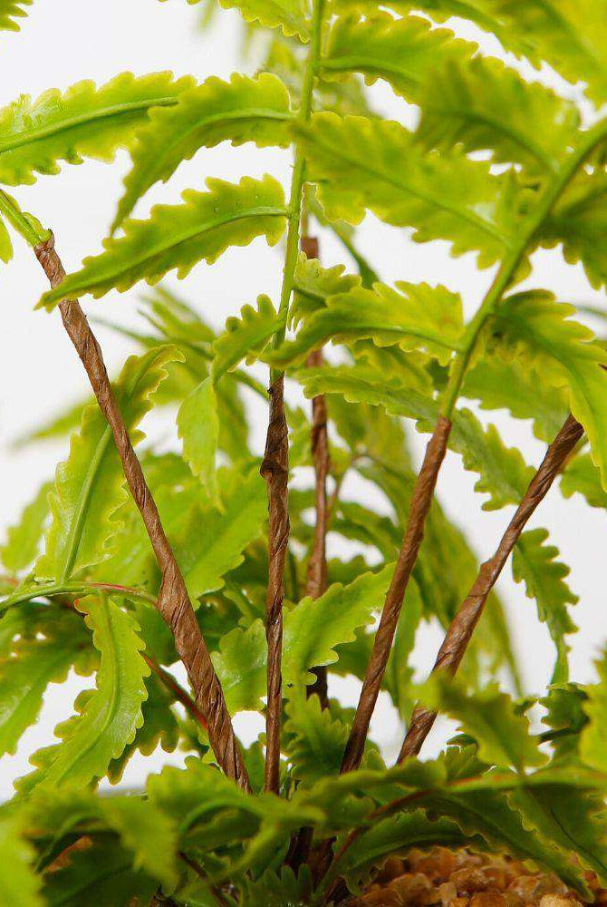 BERA POTTED FAUX FERN ArtiPlanto