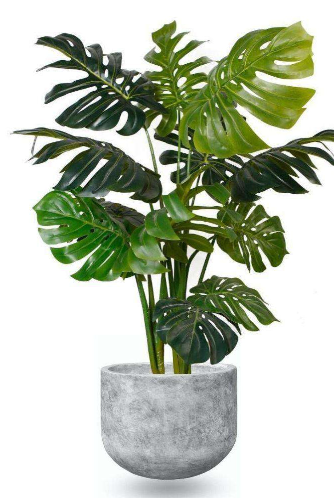 BERTO CEMENT PLANTER 15'' ArtiPlanto
