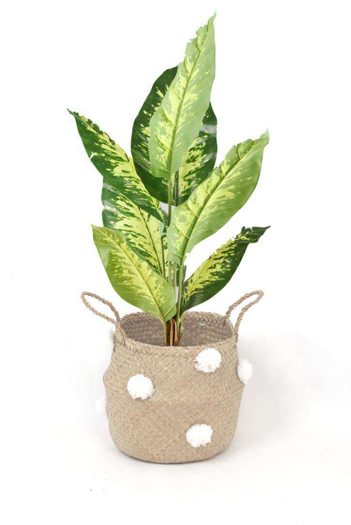 BOMBA - Seagrass Basket With White Pompoms ArtiPlanto