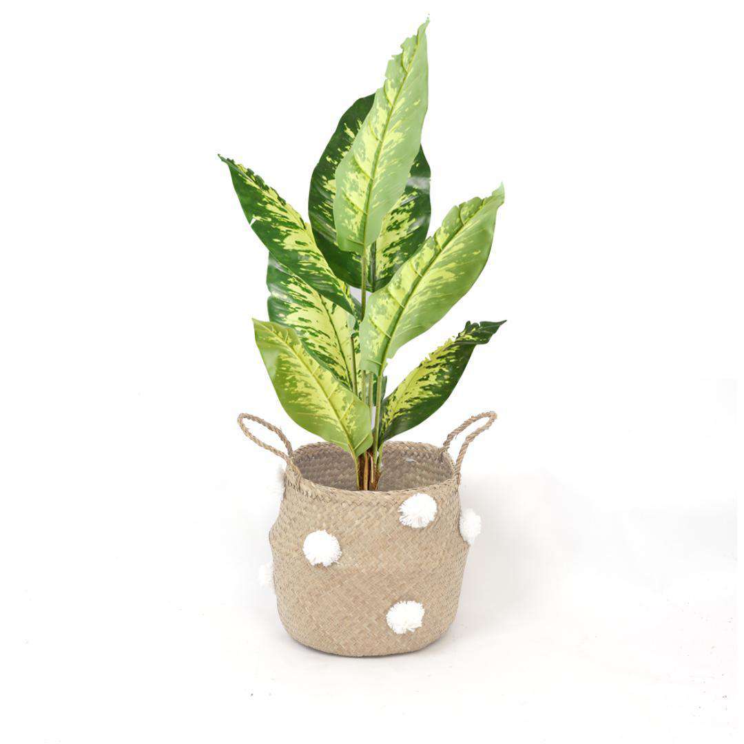 BOMBA - Seagrass Basket With White Pompoms ArtiPlanto