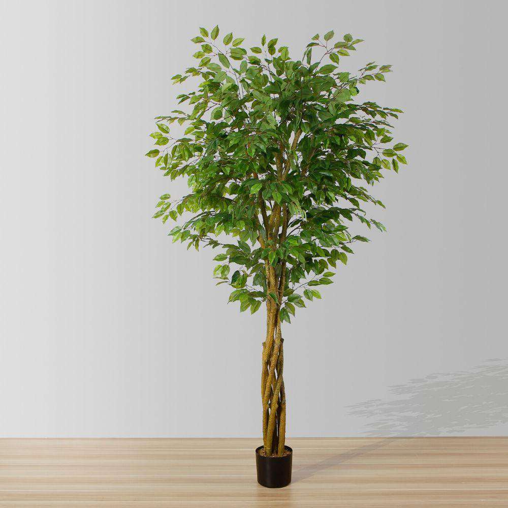 Bea Artificial Ficus Potted Plant 6.5 ArtiPlanto