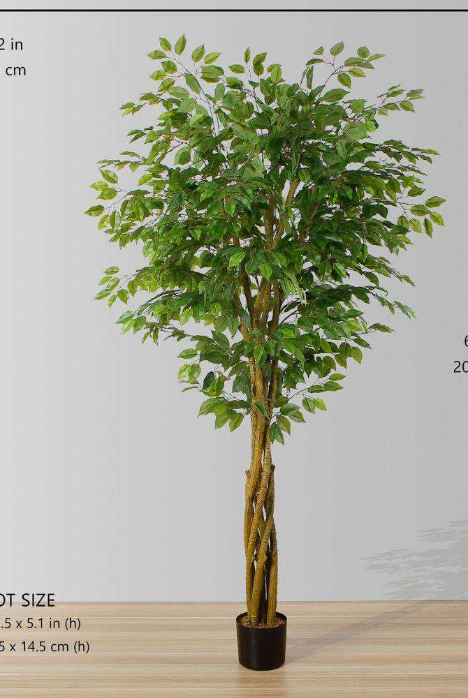 Bea Artificial Ficus Potted Plant 6.5 ArtiPlanto