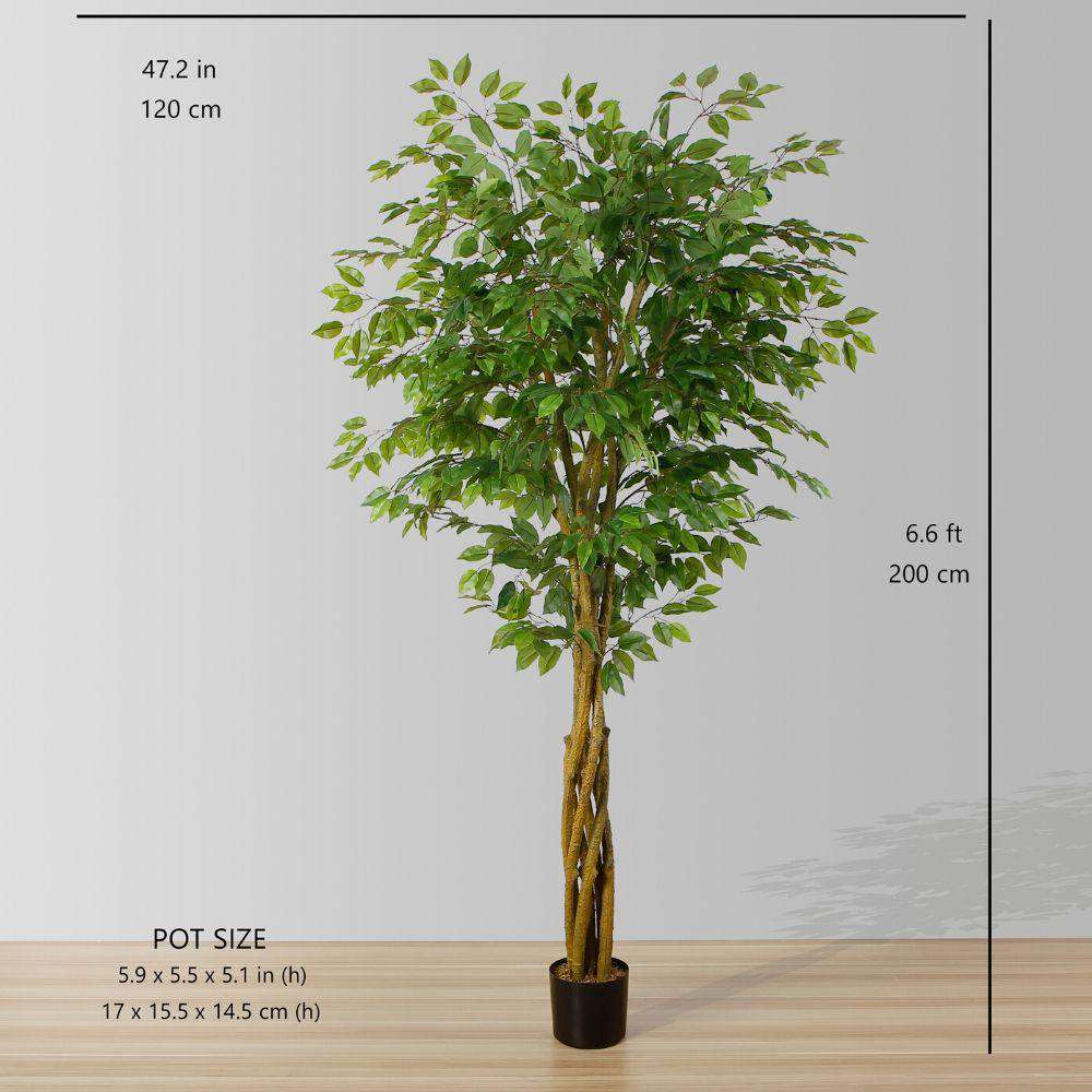 Bea Artificial Ficus Potted Plant 6.5 ArtiPlanto