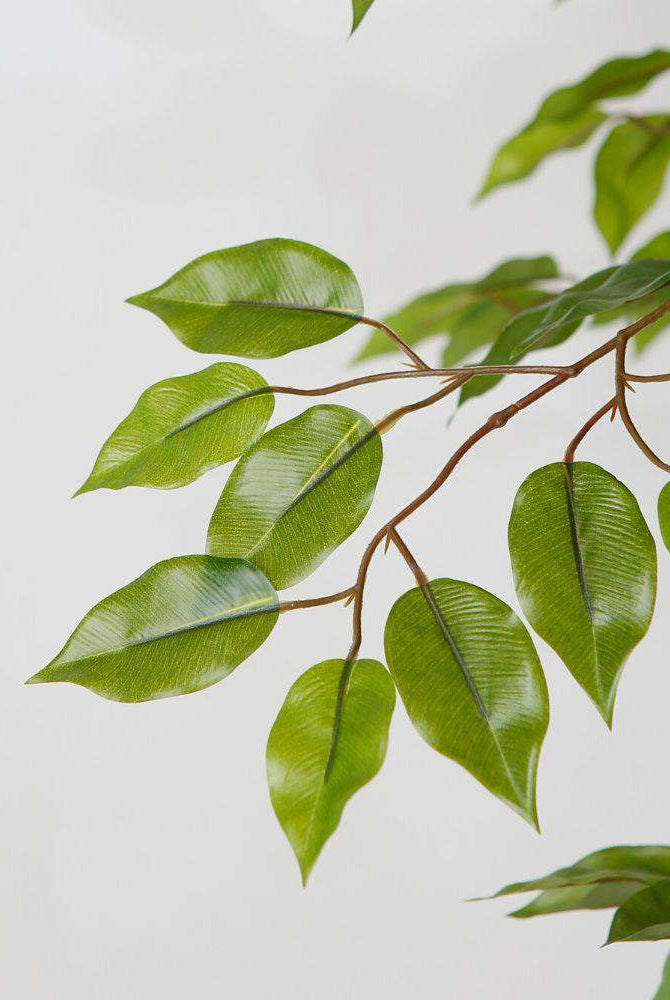 Bea Artificial Ficus Potted Plant 6.5 ArtiPlanto