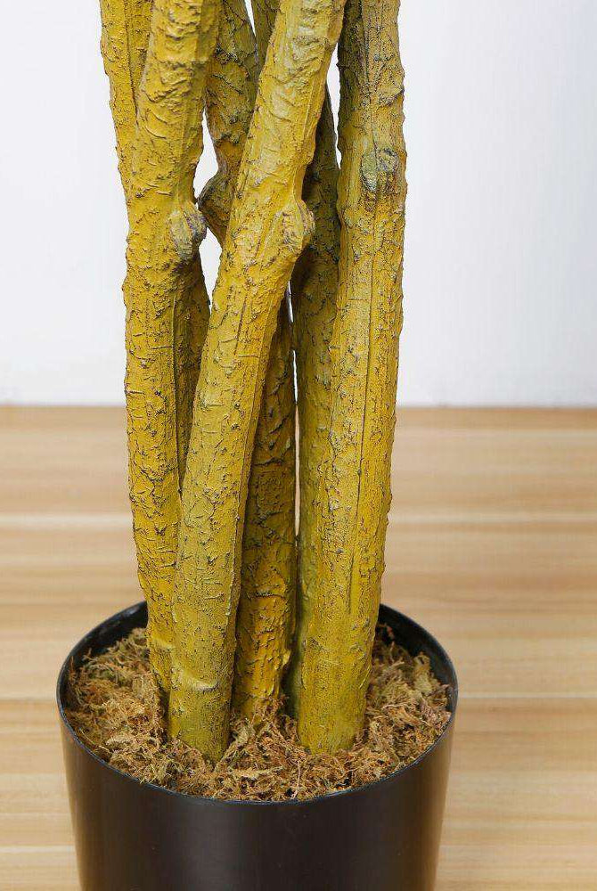 Bea Artificial Ficus Potted Plant 6.5 ArtiPlanto