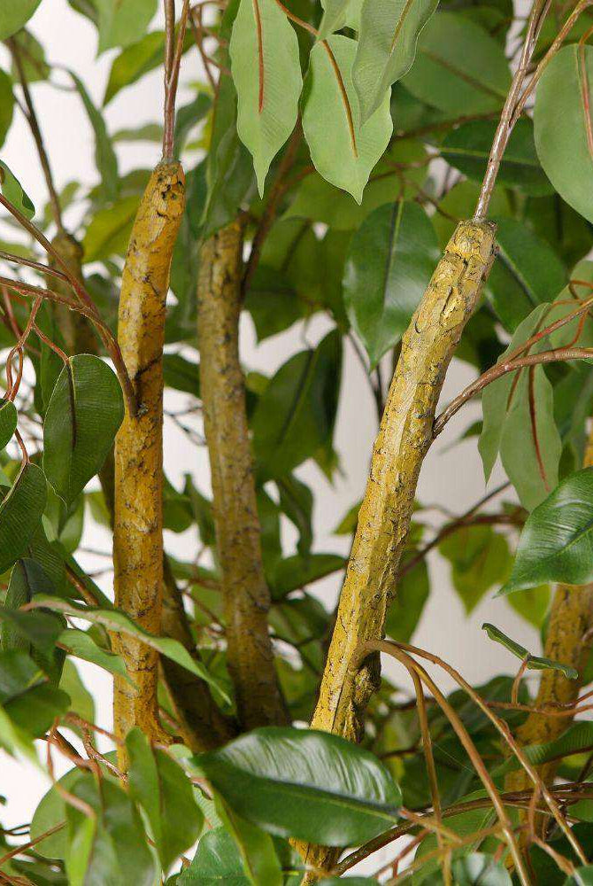 Bea Artificial Ficus Potted Plant 6.5 ArtiPlanto