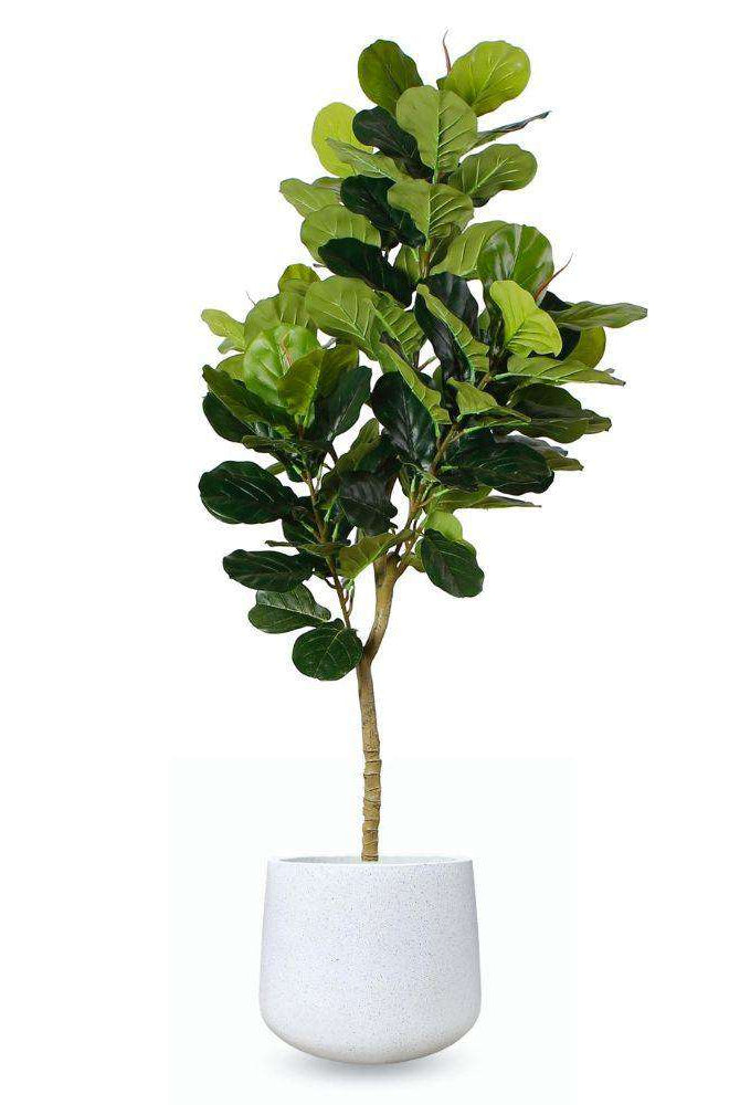 Belize Cement Planter 17'' ArtiPlanto