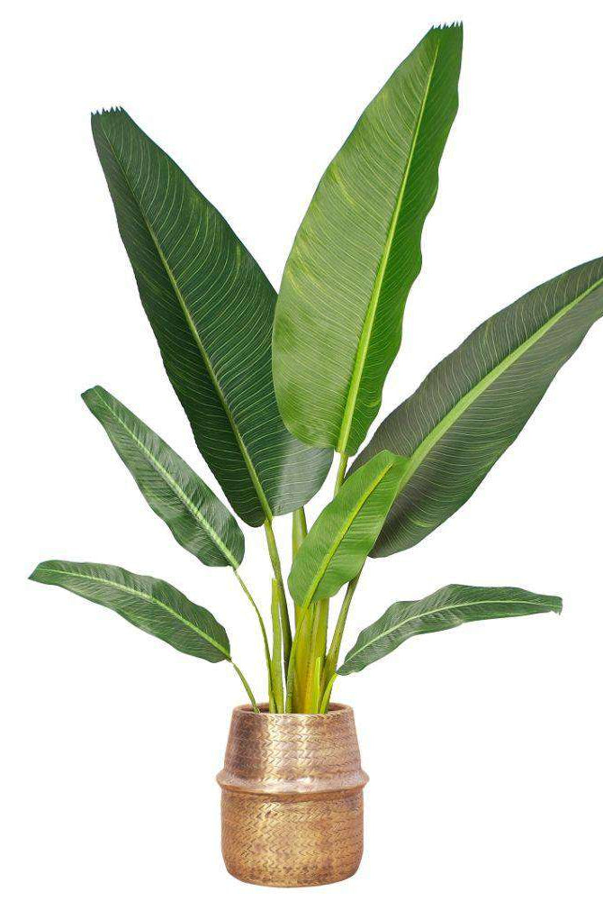 Bonita -Rattan Brass Finish Planter ArtiPlanto
