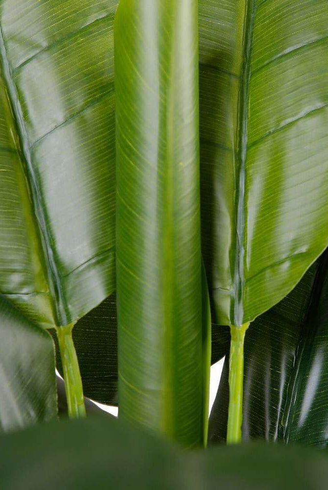 CALI ARTIFICIAL BANANA TREE POTTED PLANT 43'' ArtiPlanto