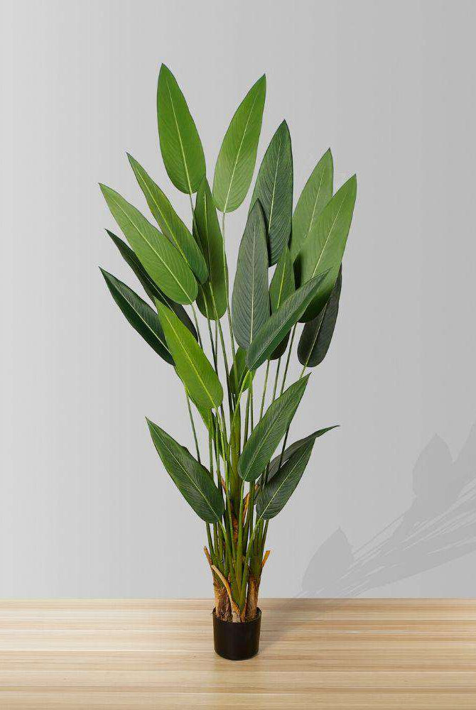 CANA ARTIFICIAL CANNA POTTED PLANT (MULTIPLE SIZES) ArtiPlanto