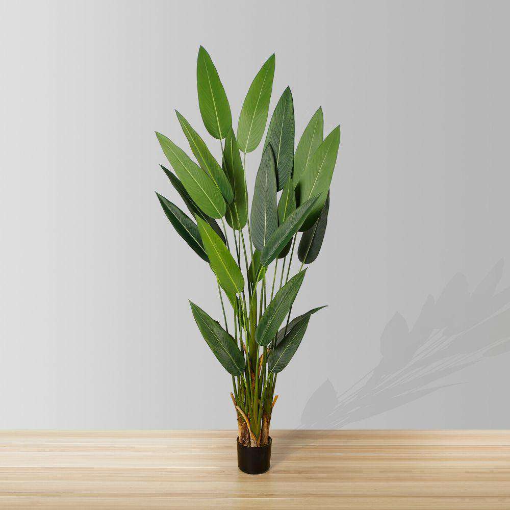 CANA ARTIFICIAL CANNA POTTED PLANT (MULTIPLE SIZES) ArtiPlanto