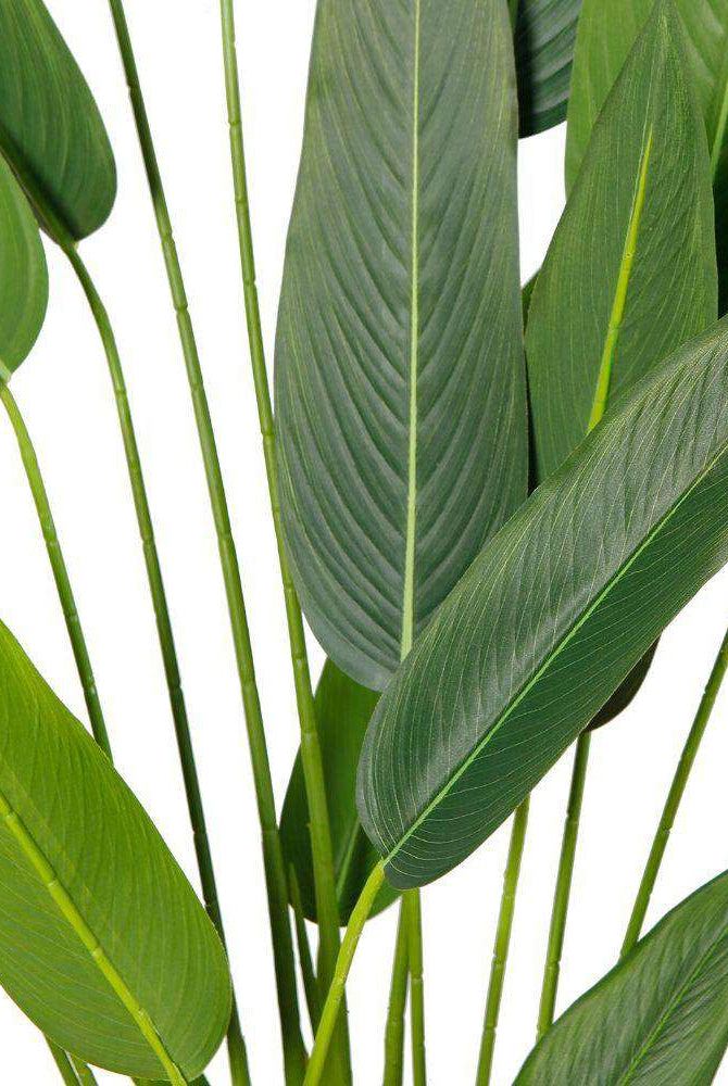 CANA ARTIFICIAL CANNA POTTED PLANT (MULTIPLE SIZES) ArtiPlanto