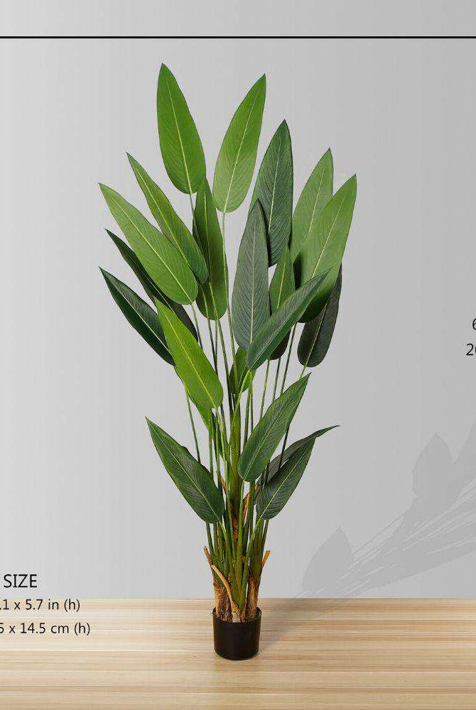 CANA ARTIFICIAL CANNA POTTED PLANT (MULTIPLE SIZES) ArtiPlanto