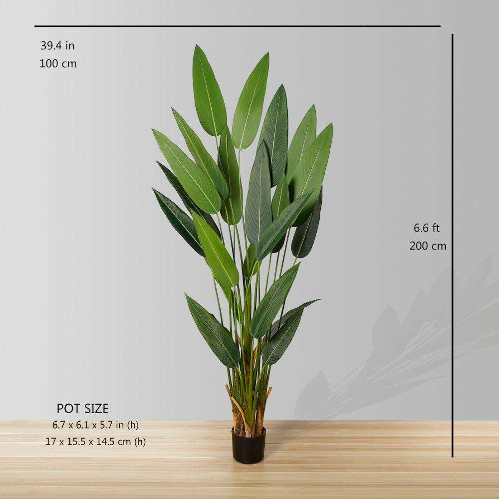 CANA ARTIFICIAL CANNA POTTED PLANT (MULTIPLE SIZES) ArtiPlanto