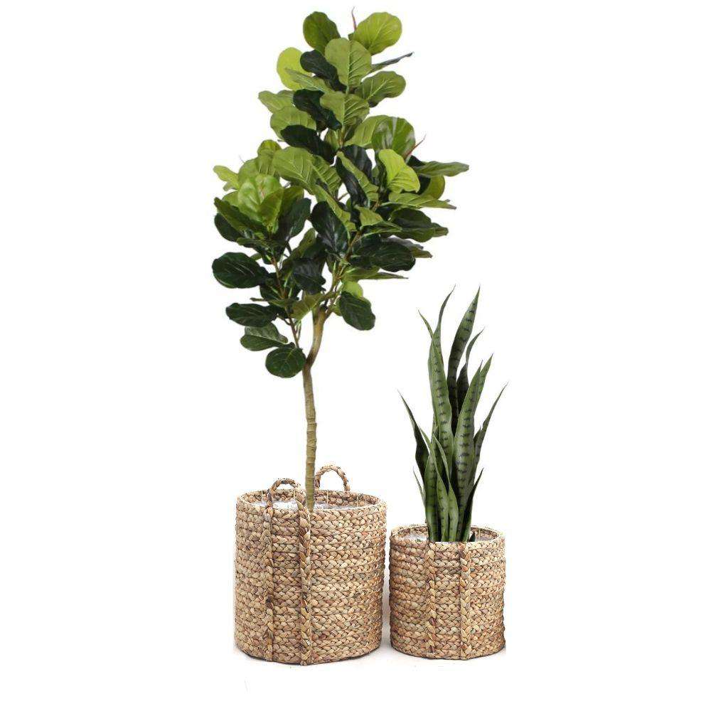 CECE - Water Hyacinth Planter ArtiPlanto