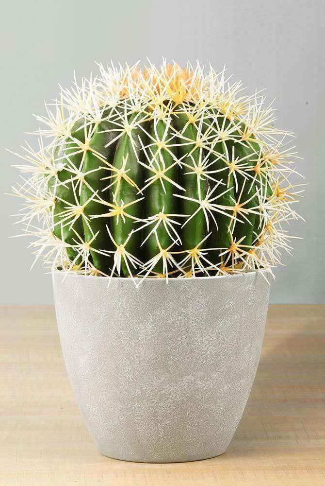 COCO Artificial Cactus Potted Plant 11" ArtiPlanto