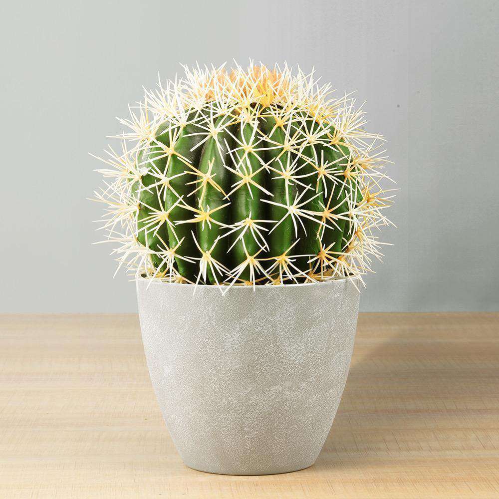 COCO Artificial Cactus Potted Plant 11" ArtiPlanto