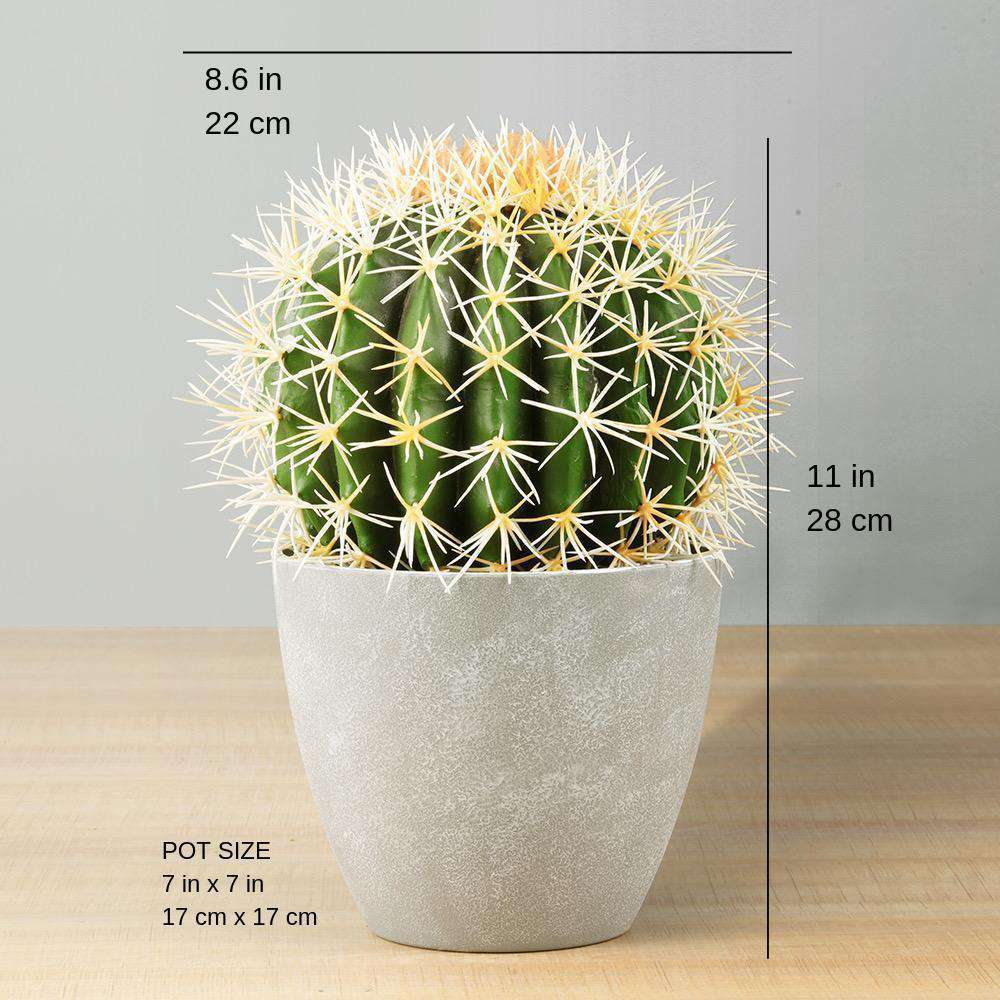 COCO Artificial Cactus Potted Plant 11" ArtiPlanto