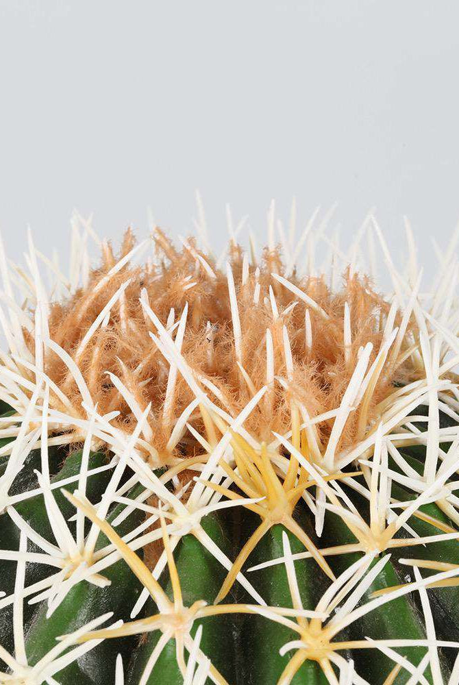 COCO Artificial Cactus Potted Plant 11" ArtiPlanto