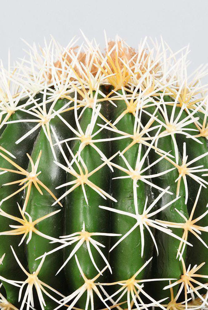 COCO Artificial Cactus Potted Plant 11" ArtiPlanto