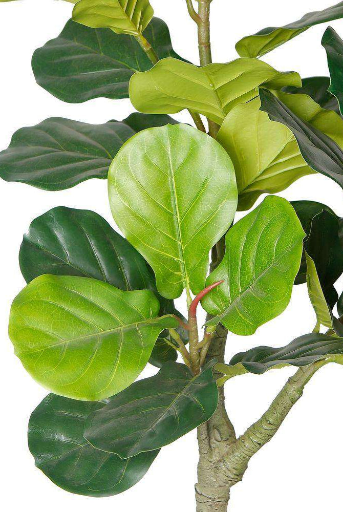 CORA Artificial Fiddle Leaf Potted Plant 5.5' ArtiPlanto