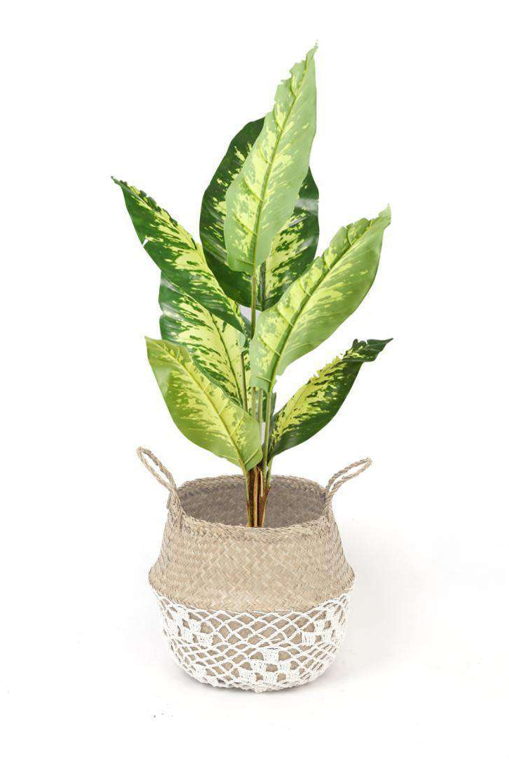 COSTA - Seagrass Basket With White Net Pattern ArtiPlanto