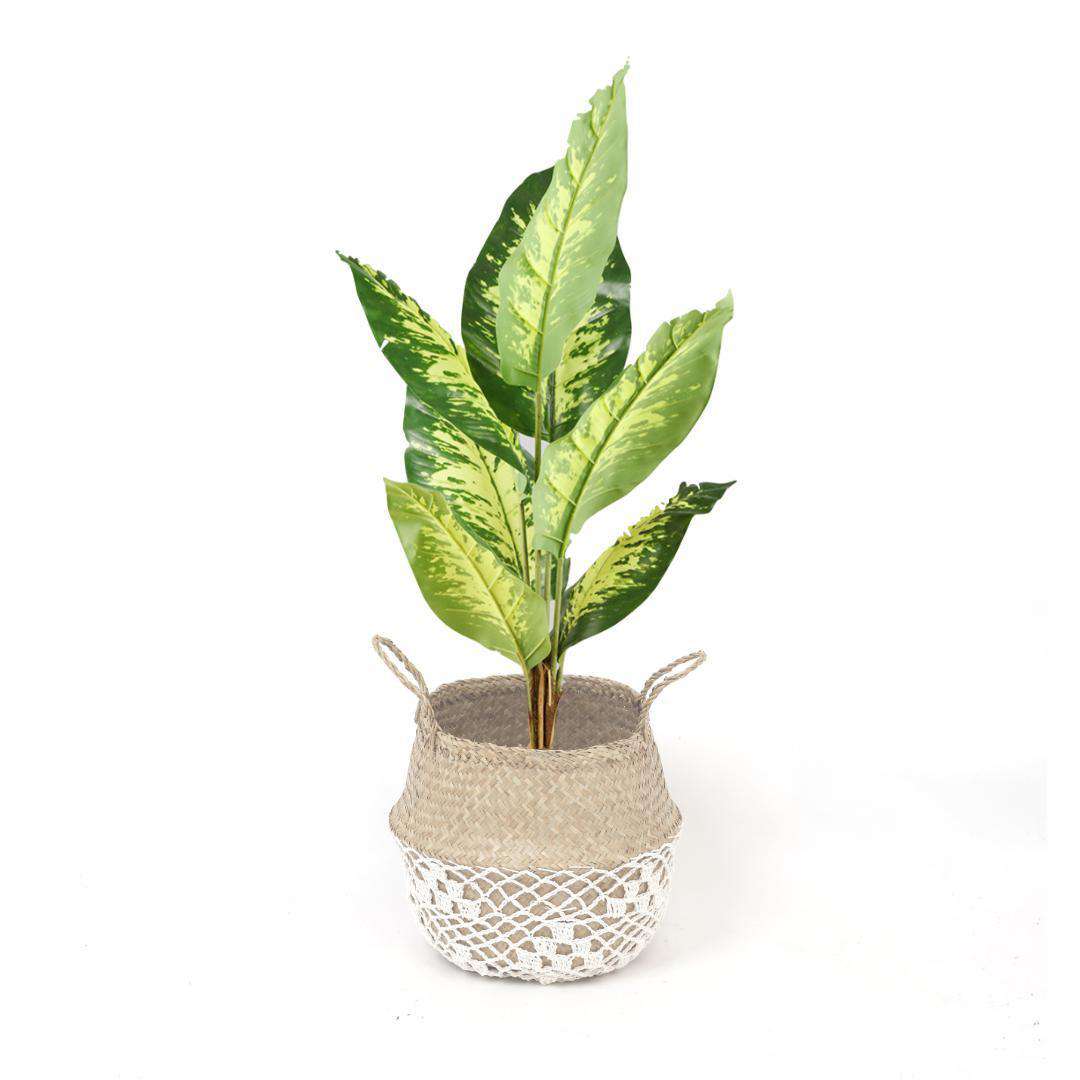 COSTA - Seagrass Basket With White Net Pattern ArtiPlanto