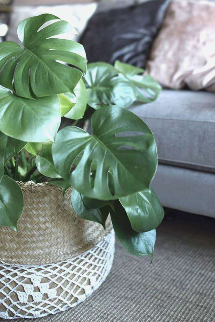 COSTA - Seagrass Basket With White Net Pattern ArtiPlanto