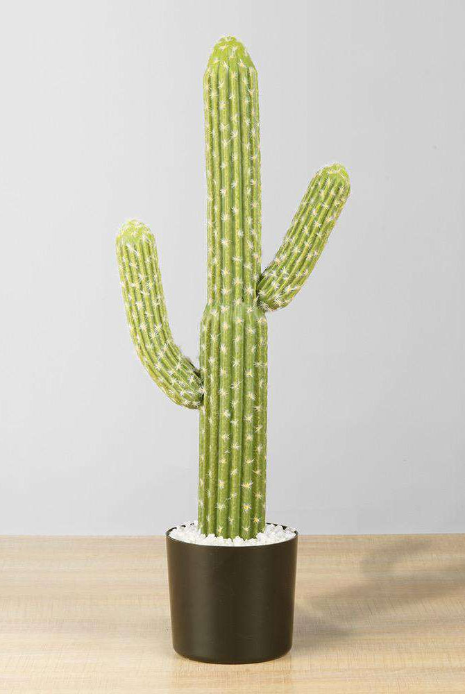 DADO Artificial Cactus Potted Plant 2' ArtiPlanto