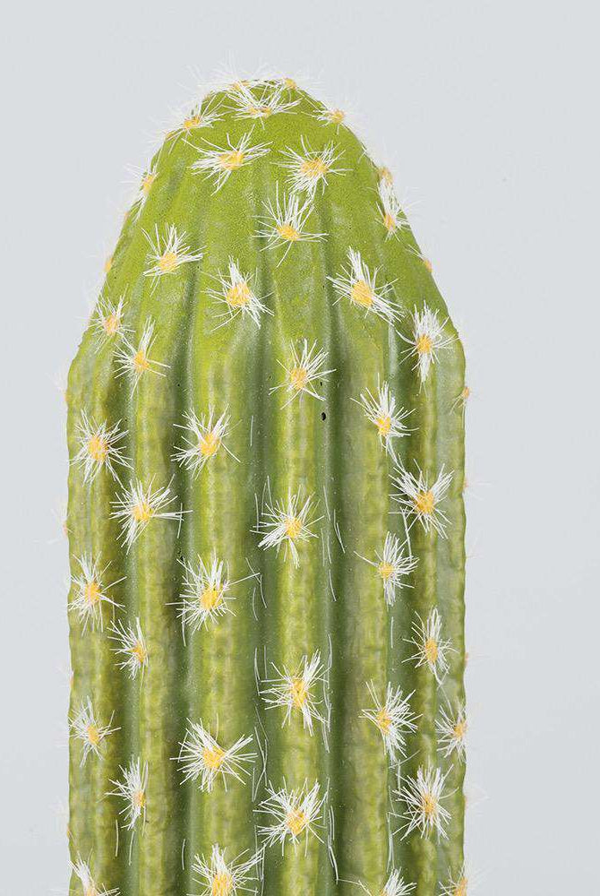 DADO Artificial Cactus Potted Plant 2' ArtiPlanto