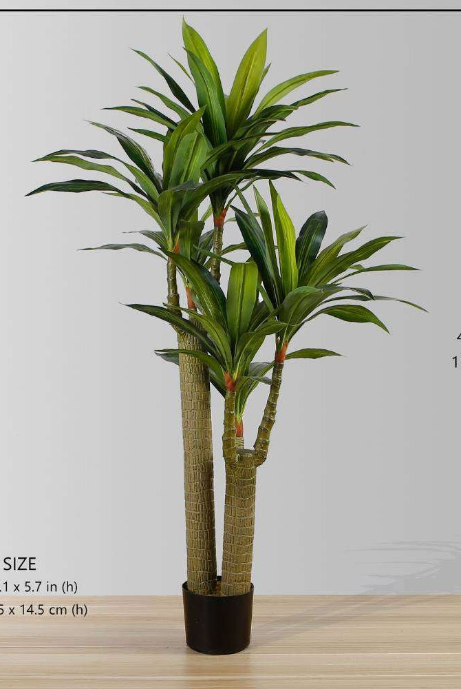 DANA Artificial Draecena Tree Potted Plant (Multiple Sizes) ArtiPlanto