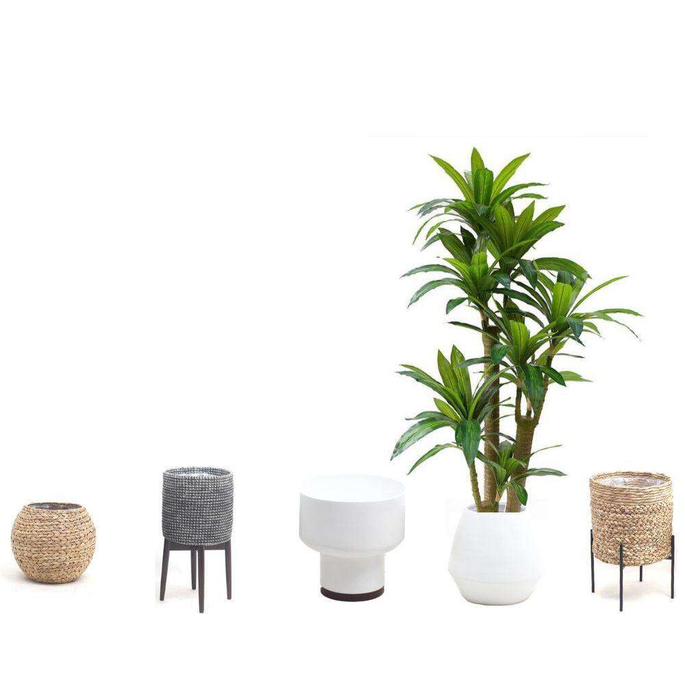 DANA Artificial Draecena Tree Potted Plant (Multiple Sizes) ArtiPlanto